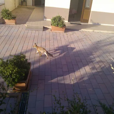 Hotel Stiffe Отель 3*